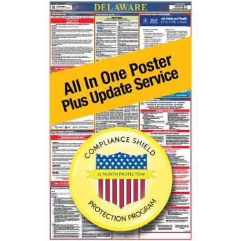 Delaware All In One Poster + 2 Year Replacement Poster