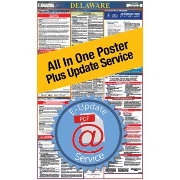 Delaware All In One Poster + 3 Year E-Update Service