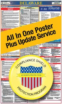 Delaware All In One Poster + 2 Year Replacement Poster
