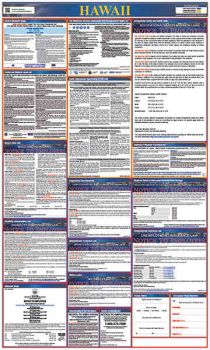 Hawaii All in One Labor Law Poster