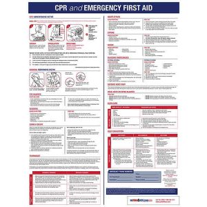 Emergency First Aid Poster
